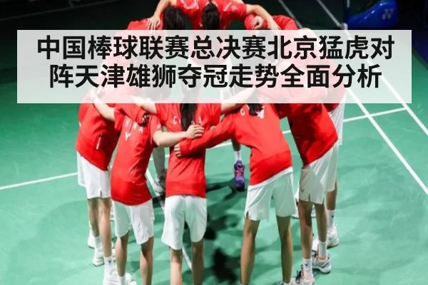 中国棒球联赛总决赛北京猛虎对阵天津雄狮夺冠走势全面分析